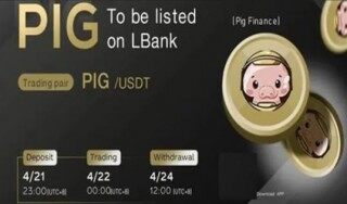 pig币交易所app下载链接 pig币交易平台手机端