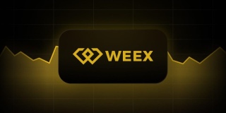 Weex交易平台官方入口_Weex交易所官方App下载地址 - 币圈网